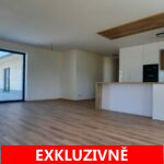 ( Pronajato ) Pronájem prostorného, rodinného domu, novostavby z roku 2023, dispozice 4+kk s terasou 41 m2, zahradou, garáží, garážovým stání a sklepem obec Svojetice, Praha - východ
